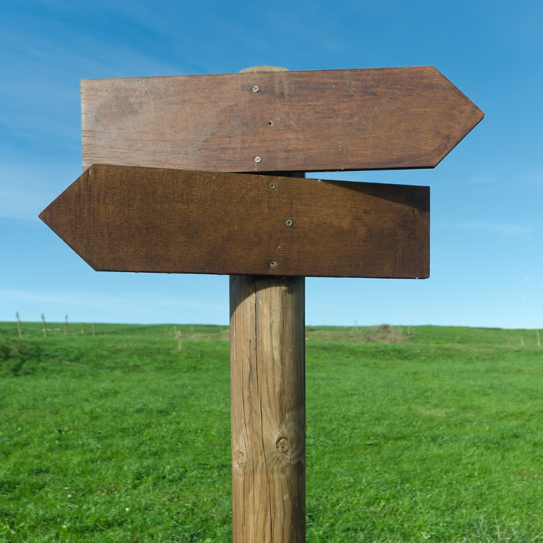 Wooden signpost with two waymarkers on grass